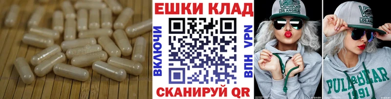 наркошоп  Вятские Поляны  OMG ССЫЛКА  Экстази 250 мг 